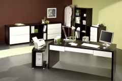 Design d'une gamme semi-pro pour Alinéa, en tant que Designer Salariée chez Parisot Meubles / Industrie - En panneaux de particules , décor Wengé et façades en laqué blanc brillant