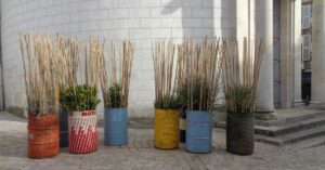 Lire la suite à propos de l’article 2023 Projet « PROTECT ME » – Participation aux Jardins éphémères Orléans